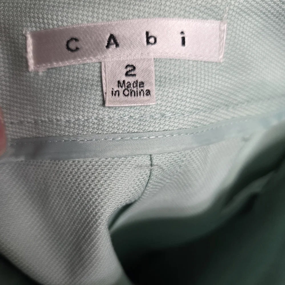 Cabi Mint Green Pencil Skirt Sz 2 (Runs Big) 30